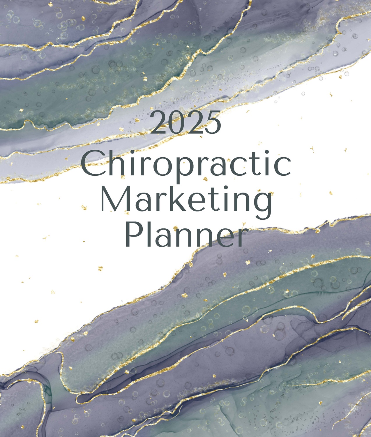 2025 Chiropractic Marketing Planner